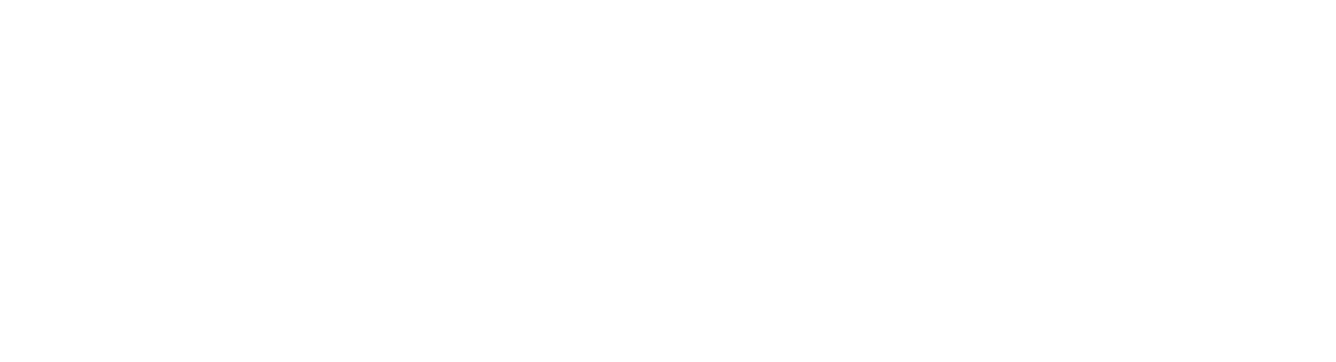 cergamin logo